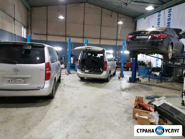 Ремонт hyundai h1 (grand starex) Москва - изображение 1