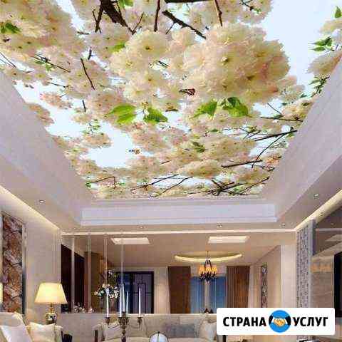 Натяжные потолки Честный мастер Шахты