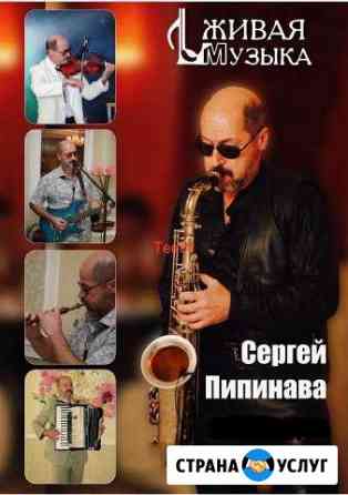 Музыкант (певец, скрипка, саксофон, дудук.) Курск