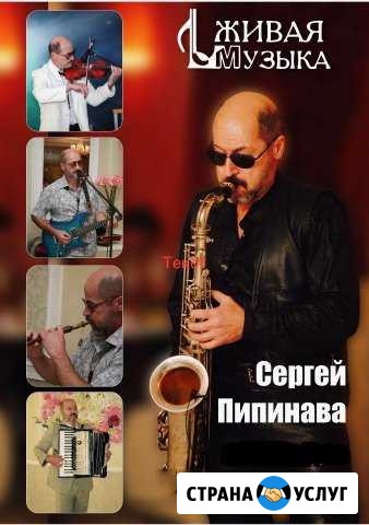 Музыкант (певец, скрипка, саксофон, дудук.) Курск - изображение 1