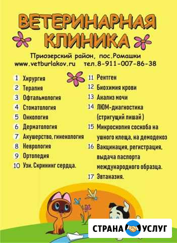 Ветеринарная помощь Саперное - изображение 1
