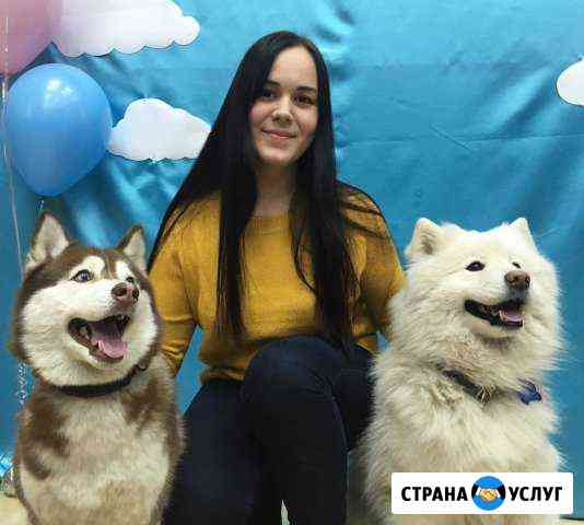 Репетитор по английскому языку Мурманск