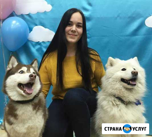 Репетитор по английскому языку Мурманск - изображение 1