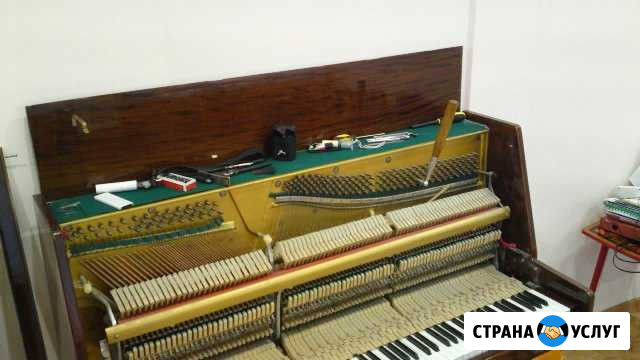 Настройка ремонт фортепиано Красноярск - изображение 1
