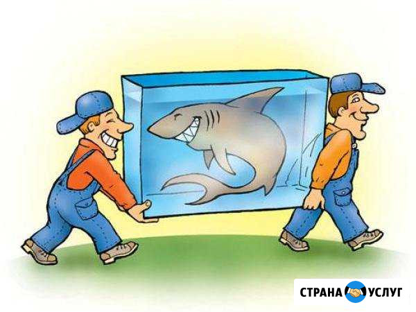 Опытные грузчикки Рубцовск - изображение 1
