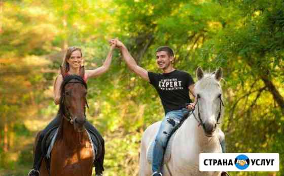 Верховые прогулки Новосибирск