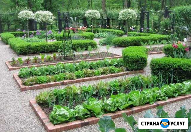 Любая помощь на дачных участках Кольчугино - изображение 1