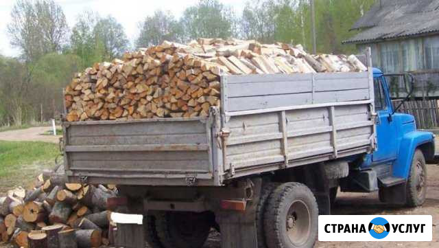 Дрова береза дуб осина сухие колотые и в пеньках Можайск - изображение 1