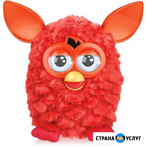 Furby Boom (Фёрби Бум) обслуживание и ремонт Санкт-Петербург - изображение 1