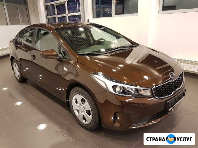 Аренда автомобиля с водителем Санкт-Петербург - изображение 1