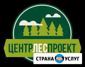Разработка проектов освоения лесов центрлеспроект Красноярск