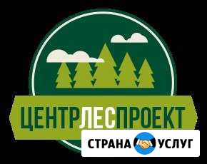 Разработка проектов освоения лесов центрлеспроект Красноярск - изображение 1
