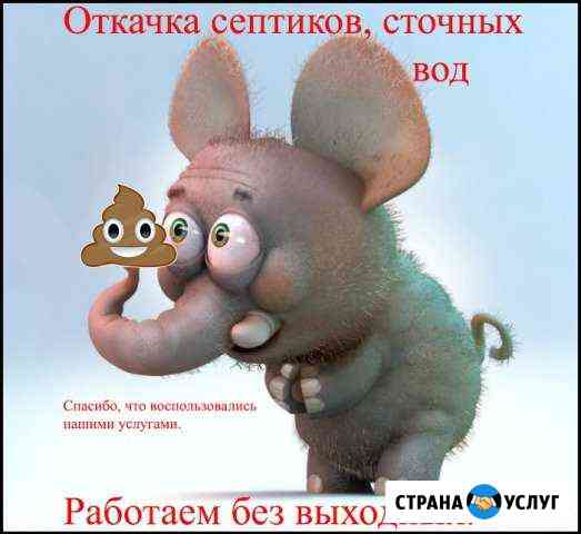 Откачка септиков Курган