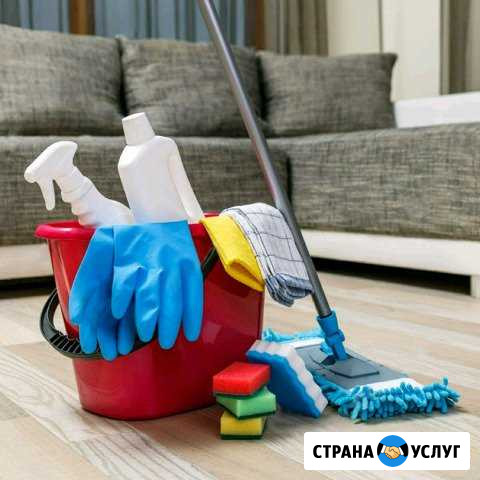 Уборка Гусь-Хрустальный - изображение 1