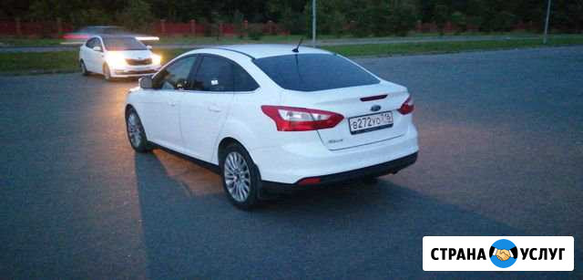 Аренда Ford Focus Казань - изображение 1
