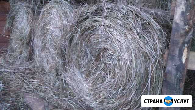 Сено в рулонах Курагино - изображение 1