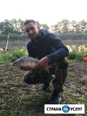 Черви выращивание Ставрополь - изображение 1