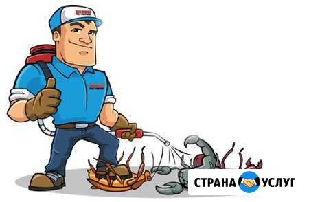 Убийцы тараканов, клопов и т.д Астрахань - изображение 1