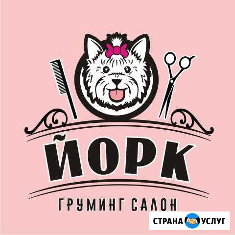 Стрижка собак и кошек г. Кострома Кострома - изображение 1