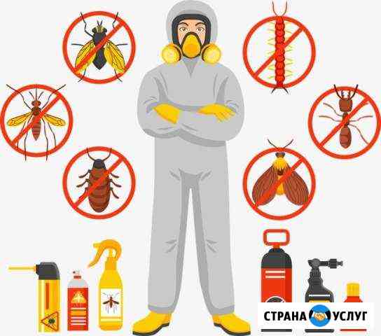 Дезинсекция Туапсе