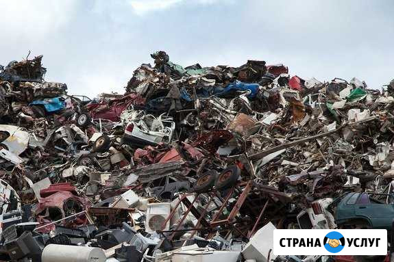 Купим и вывезем металлом Кунгур - изображение 1