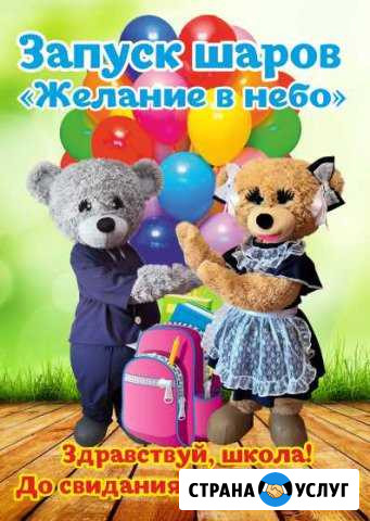 Аниматор(ростовые куклы иркутск, ангарск) Иркутск - изображение 1