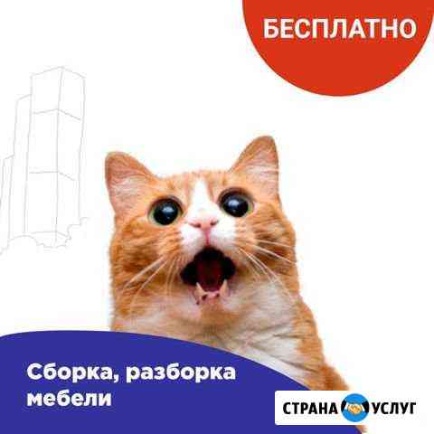 Грузоперевозки Москва