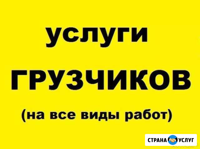 Услуги опытных грузчиков Нижнекамск - изображение 1