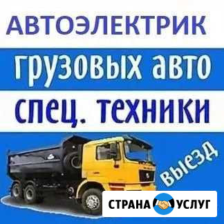 Автоэлектрик с выездом. Грузовые, спецтехника, пр Москва - изображение 1