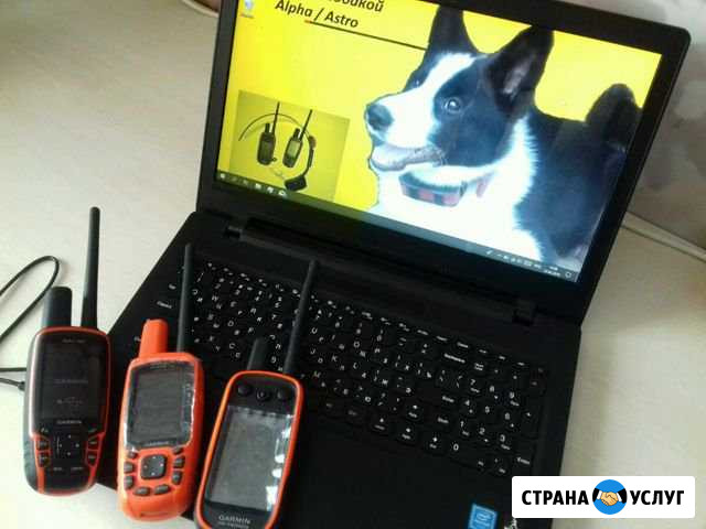 Garmin Astro/Alpha обновление п/о установка карт Дмитров - изображение 1