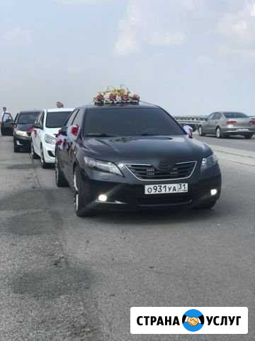 Прокат авто на свадебные и другие мероприятия Старый Оскол - изображение 1