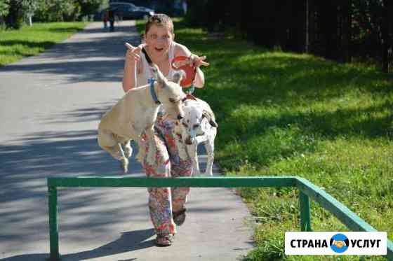 Зоопсихолог. Воспитание, коррекция, дрессировка Москва