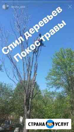 Спил деревьев/покос травы/уборка участков Ростов-на-Дону
