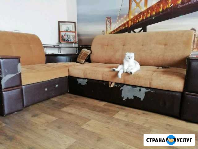 Перетяжка мебели Новочебоксарск - изображение 1