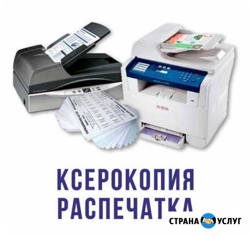 Ксерокопии,Набор текста, Договора Богородицк - изображение 1