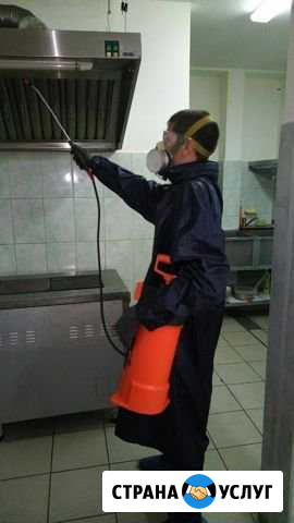 Уничтожение Клещей Клопов Тараканов Блох Новокузнецк - изображение 1