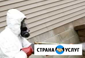 Дезинфекция, дезинсекция, дератизация Сертолово - изображение 1