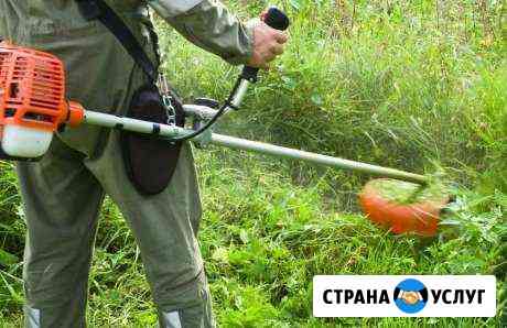 Предложение услуг Энгельс
