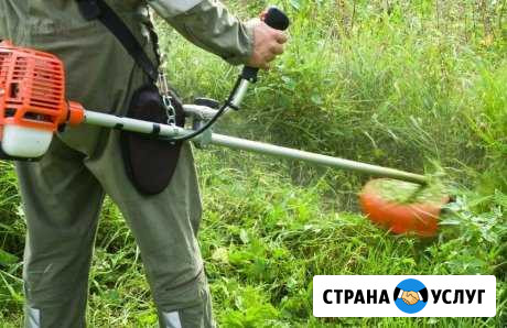 Предложение услуг Энгельс - изображение 1