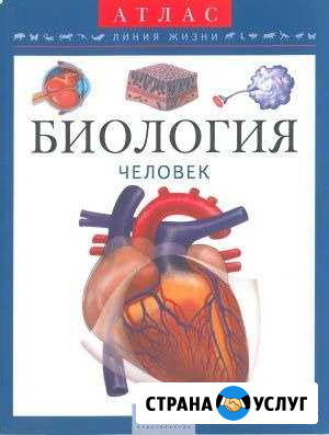 Репетитор по биологии Калининград - изображение 1