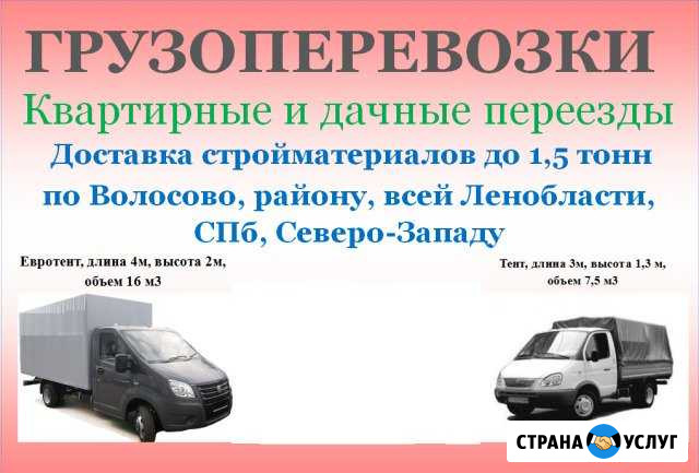 Грузоперевозки, переезды, доставки Волосово - изображение 1
