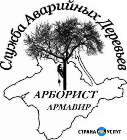 Обрезка, кронированние, спил деревьев Армавир