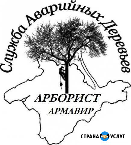 Обрезка, кронированние, спил деревьев Армавир - изображение 1