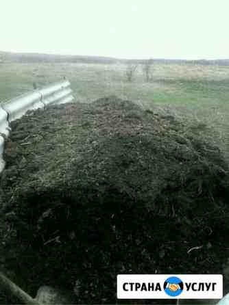 Перегной коровий- сыпец Пенза