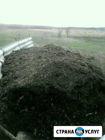 Перегной коровий- сыпец Пенза - изображение 1
