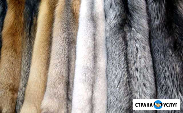Пошив и реставрация мехов Томск - изображение 1