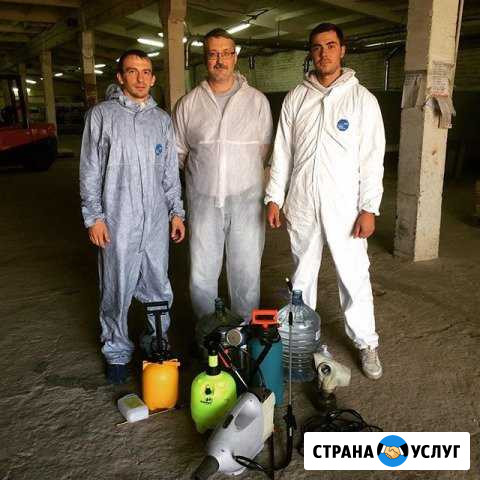 Эффективное Уничтожение тараканов клопов Астрахань - изображение 1