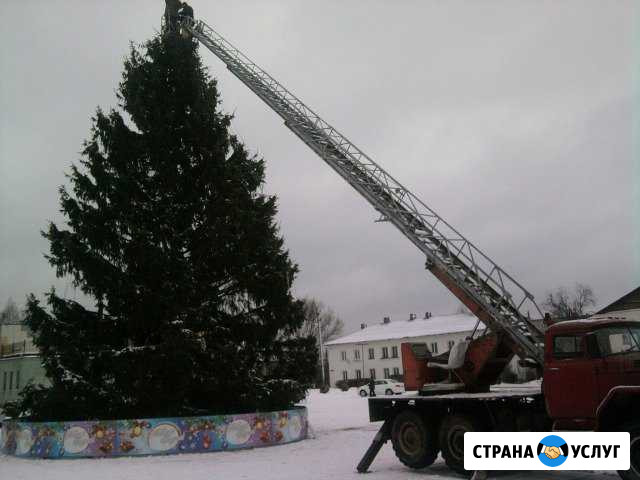 Обрезка и валка аварийных деревев Торопец - изображение 1