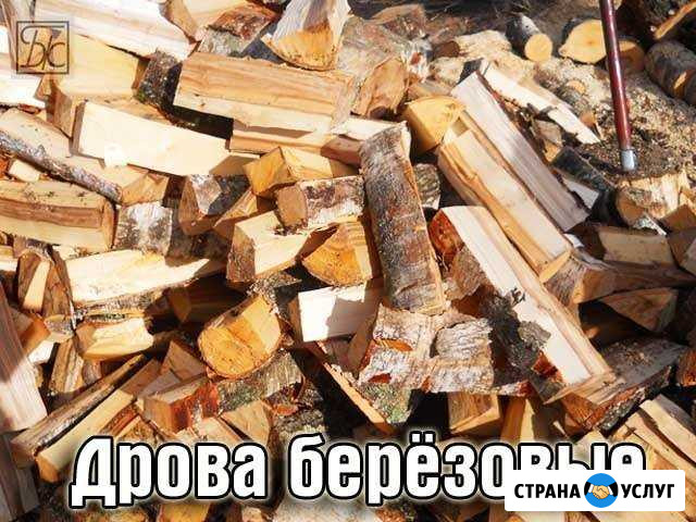 Дрова березовые. Дубовые Кугеси - изображение 1