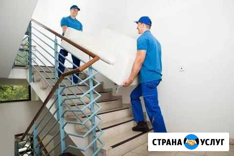 Грузчики Тейково - изображение 1